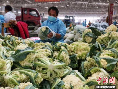 新疆最大农产品批发市场 搭建购销平台 助力本地果蔬销售